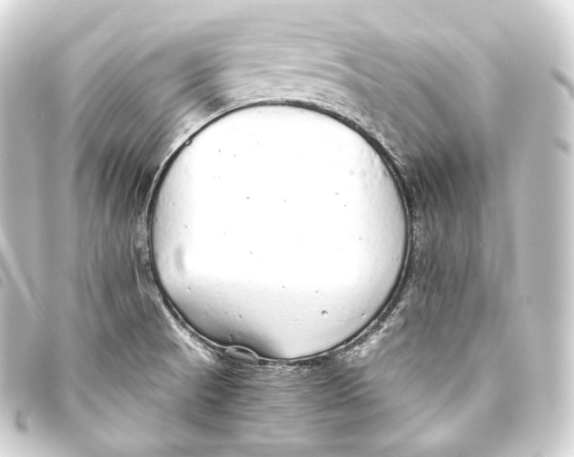 X0000093441521200711021044