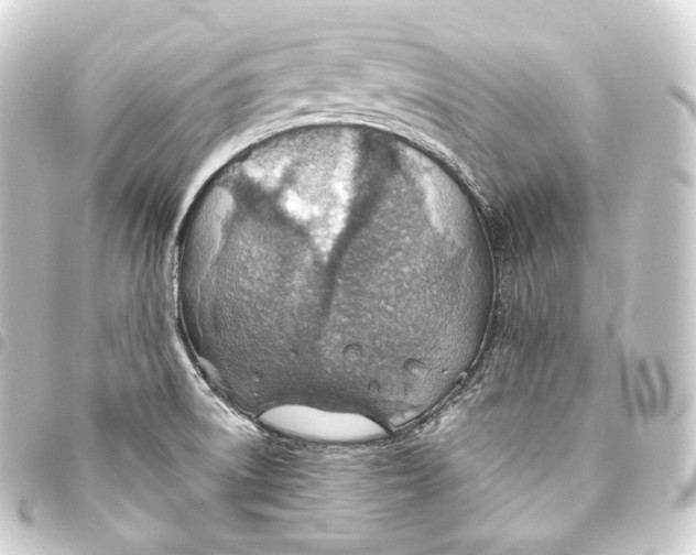 X0000093441522200711021044