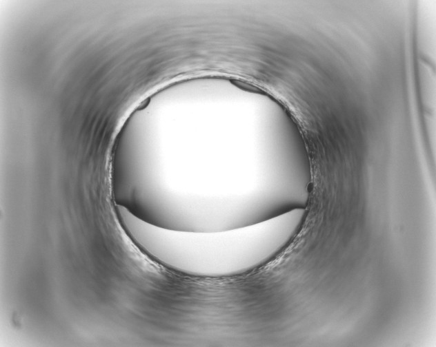 X0000093441524200711021044