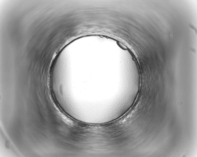 X0000093441525200711021044