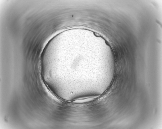 X0000093441526200711021044