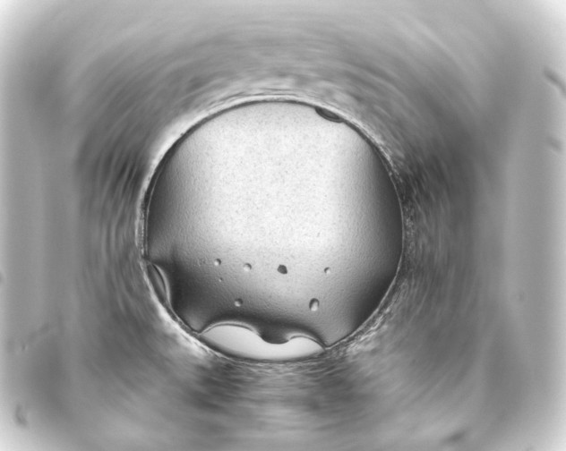 X0000093441527200711021044