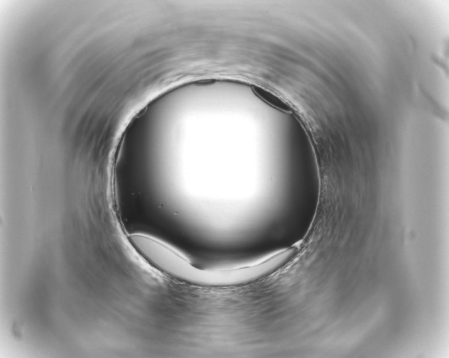 X0000093441528200711021044