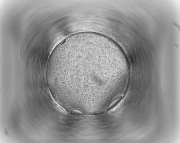 X0000093441529200711021044