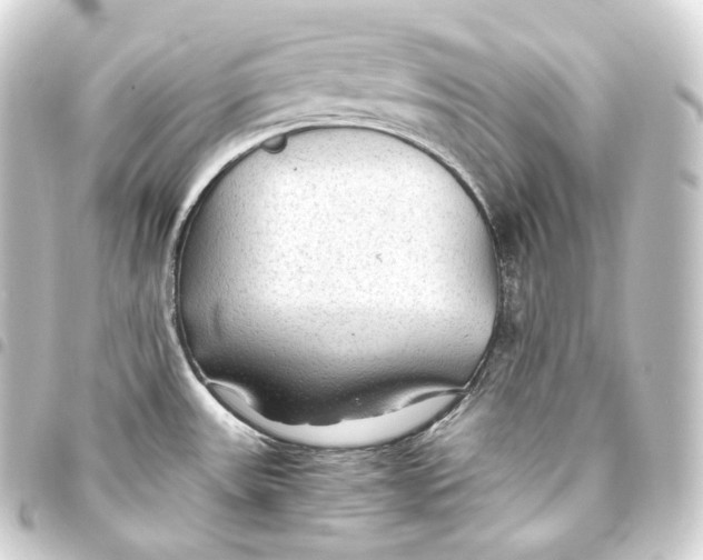 X0000093441531200711021044