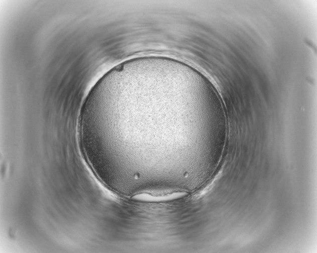 X0000093441533200711021044