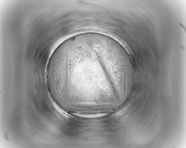 X0000093441535200711021044