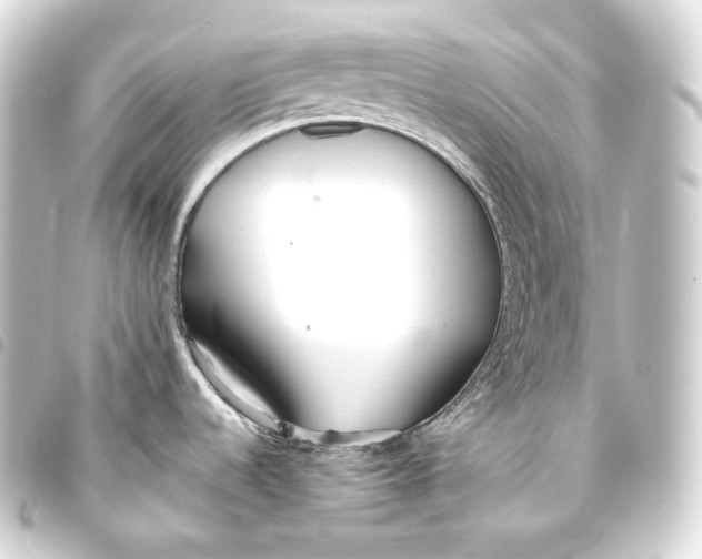 X0000093441536200711021044