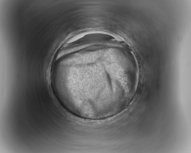 X0000093440002200711091502