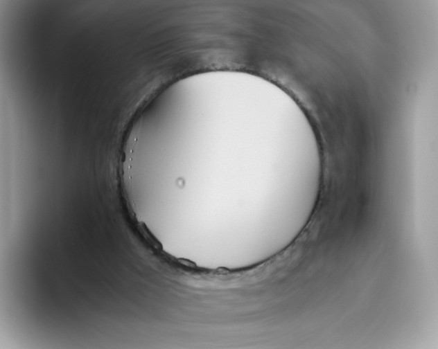 X0000093440009200711091502