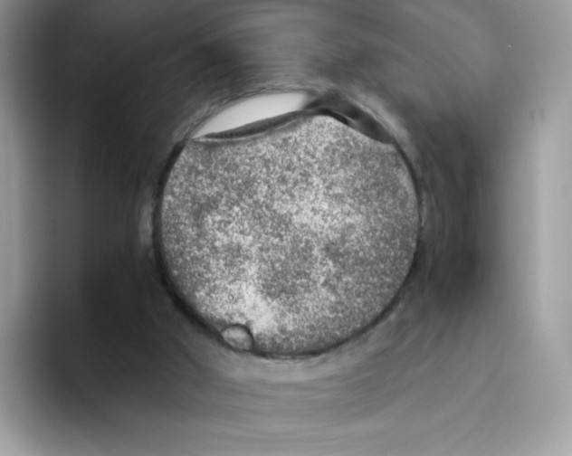 X0000093440010200711091502