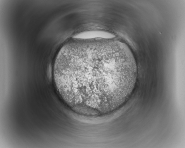 X0000093440014200711091502