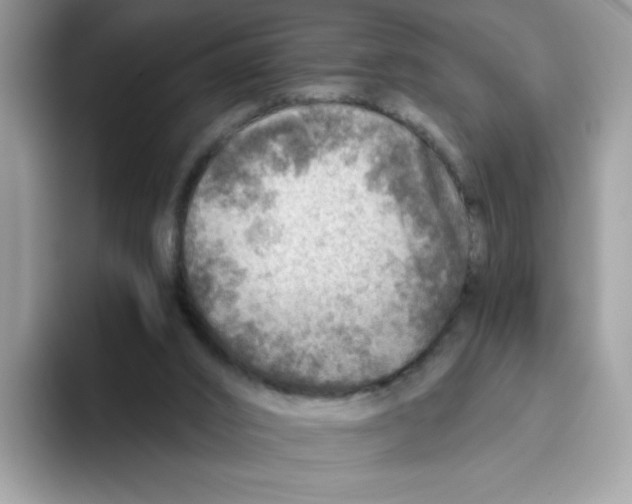 X0000093440016200711091502