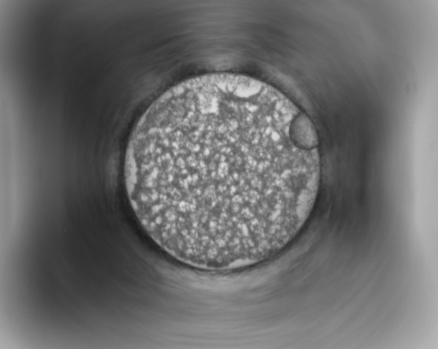 X0000093440018200711091502