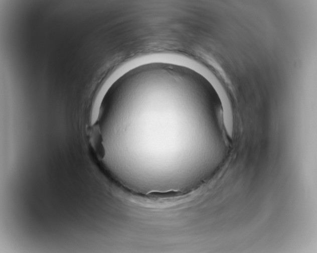 X0000093440019200711091502