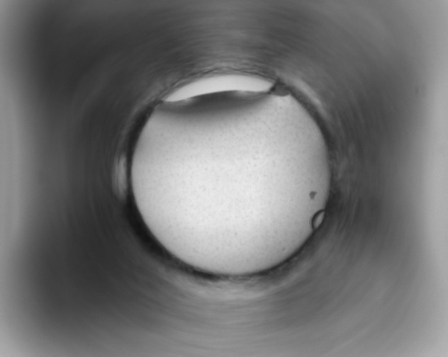 X0000093440020200711091502