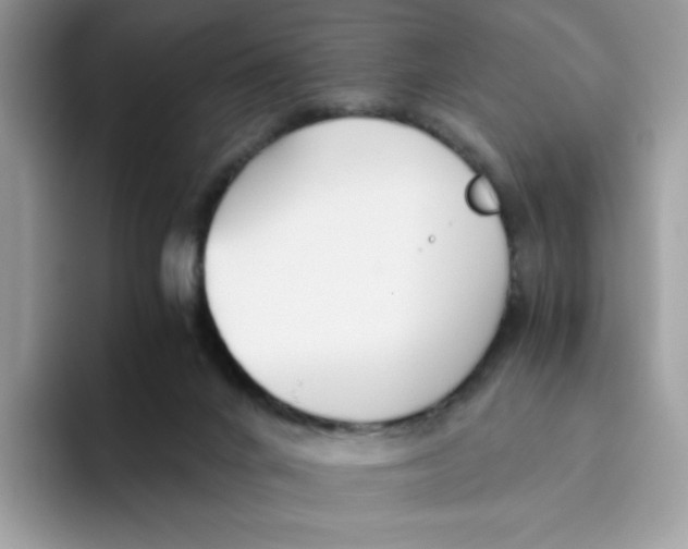 X0000093440024200711091502