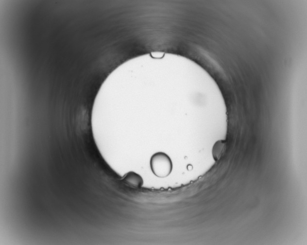 X0000093440025200711091502