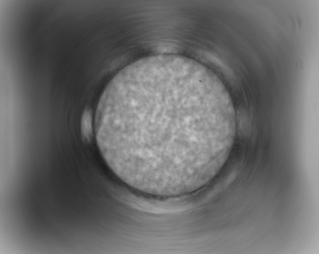 X0000093440028200711091502