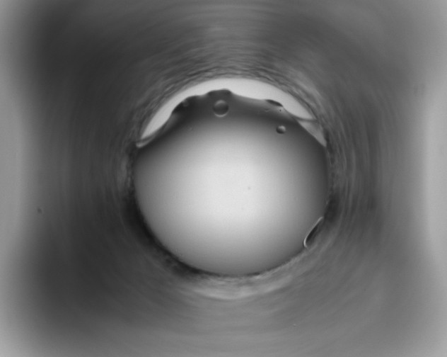 X0000093440029200711091502