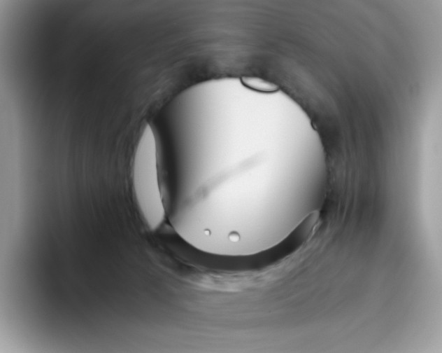 X0000093440033200711091502