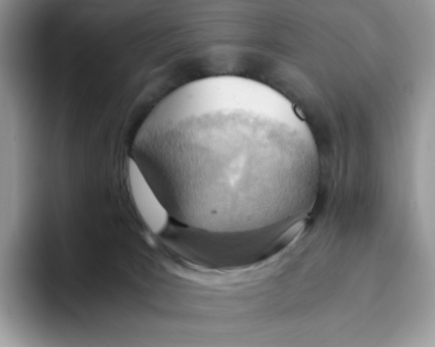 X0000093440035200711091502