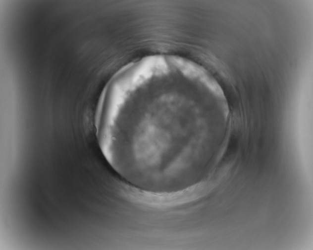 X0000093440043200711091502