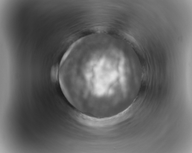 X0000093440047200711091502