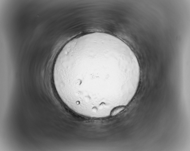 X0000093440049200711091501