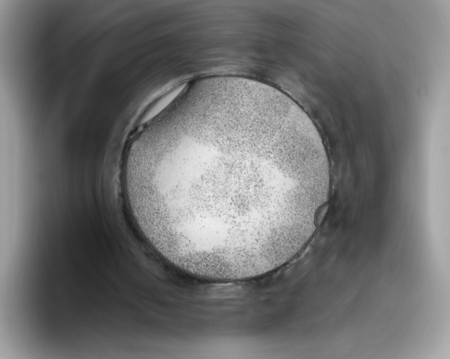 X0000093440050200711091501