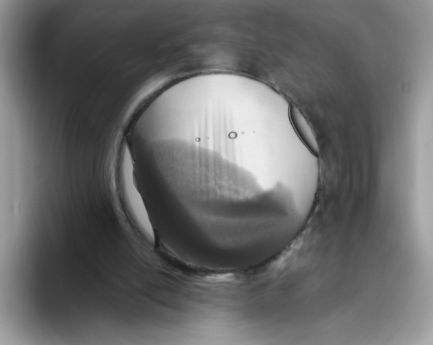 X0000093440054200711091501