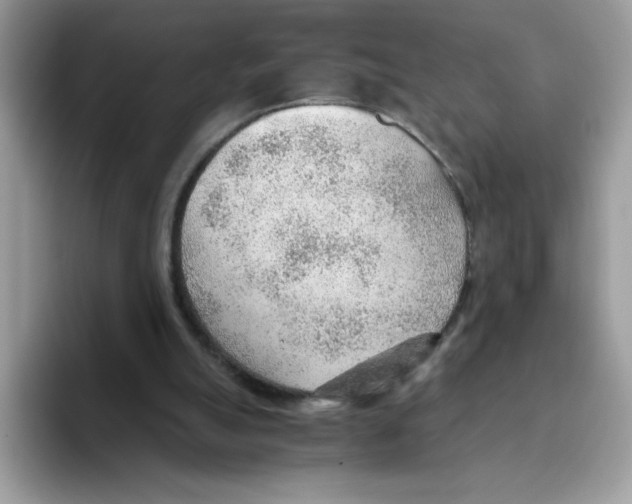 X0000093440055200711091501