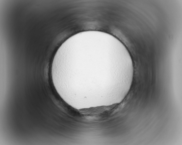 X0000093440058200711091501