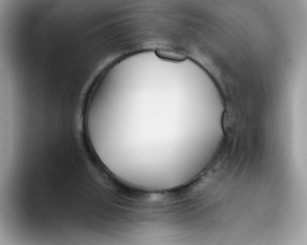 X0000093440060200711091501