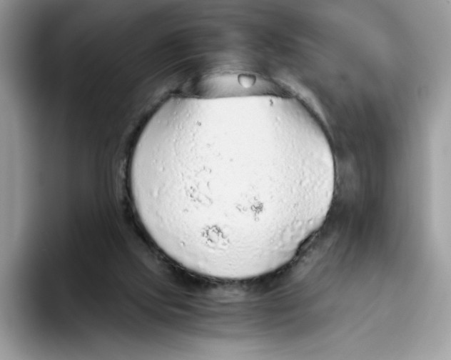 X0000093440061200711091501