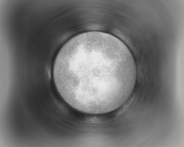 X0000093440062200711091501