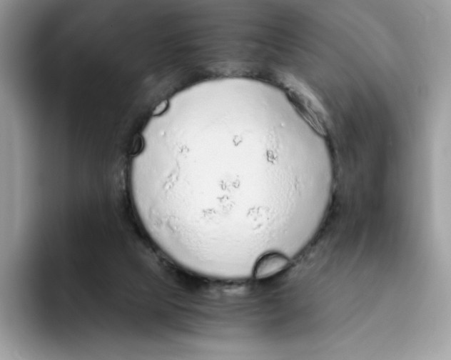 X0000093440065200711091501