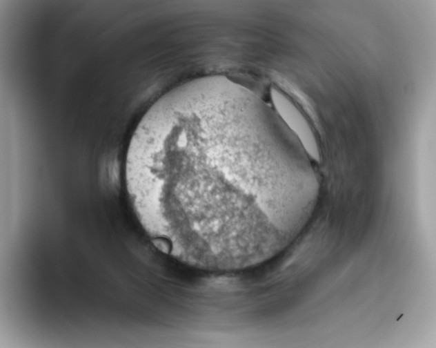 X0000093440067200711091502