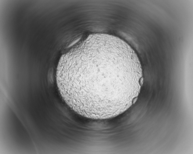 X0000093440069200711091502