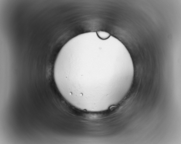 X0000093440073200711091502