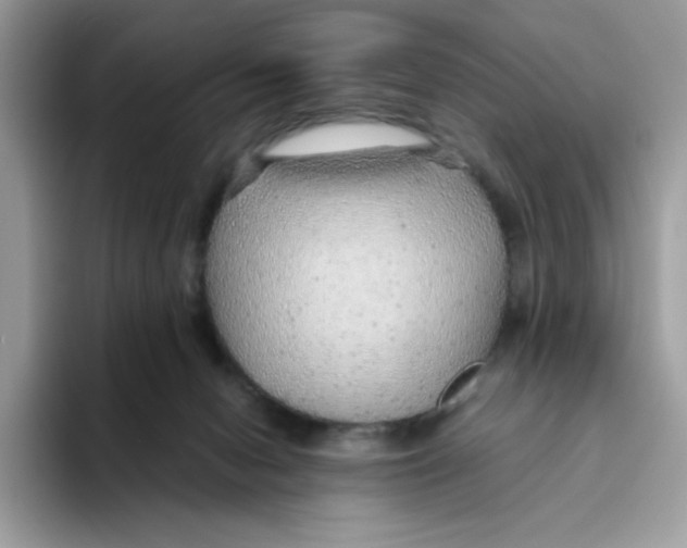 X0000093440078200711091502