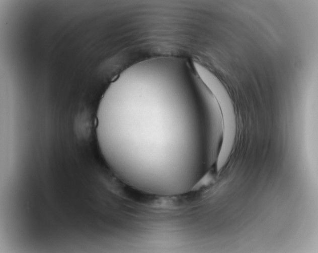 X0000093440080200711091502