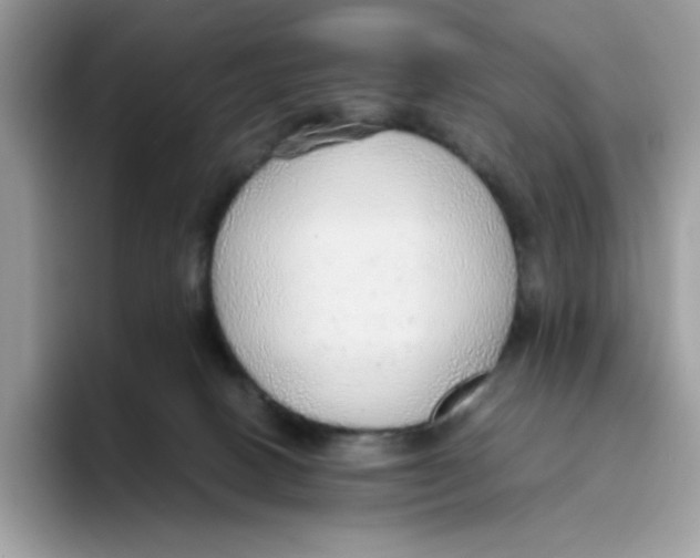 X0000093440082200711091502