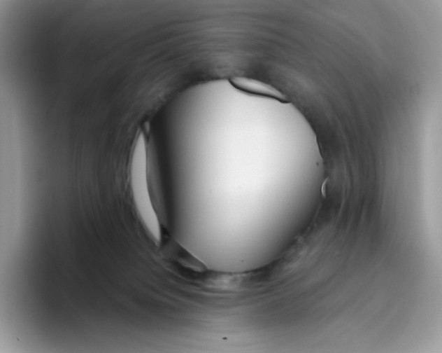 X0000093440084200711091502