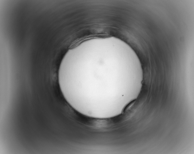 X0000093440085200711091502