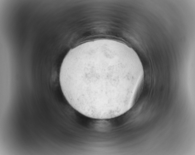 X0000093440087200711091502