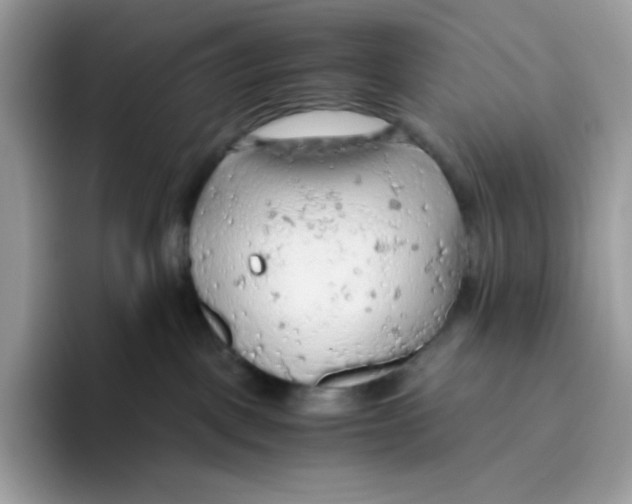 X0000093440093200711091502