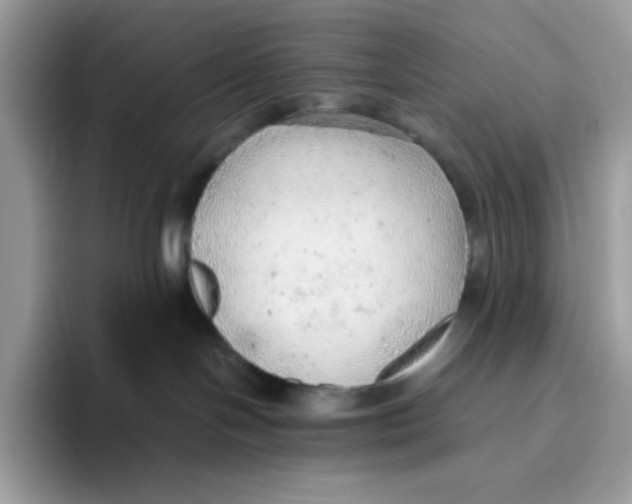 X0000093440094200711091502