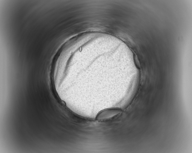 X0000093440098200711091501