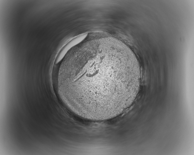 X0000093440099200711091501